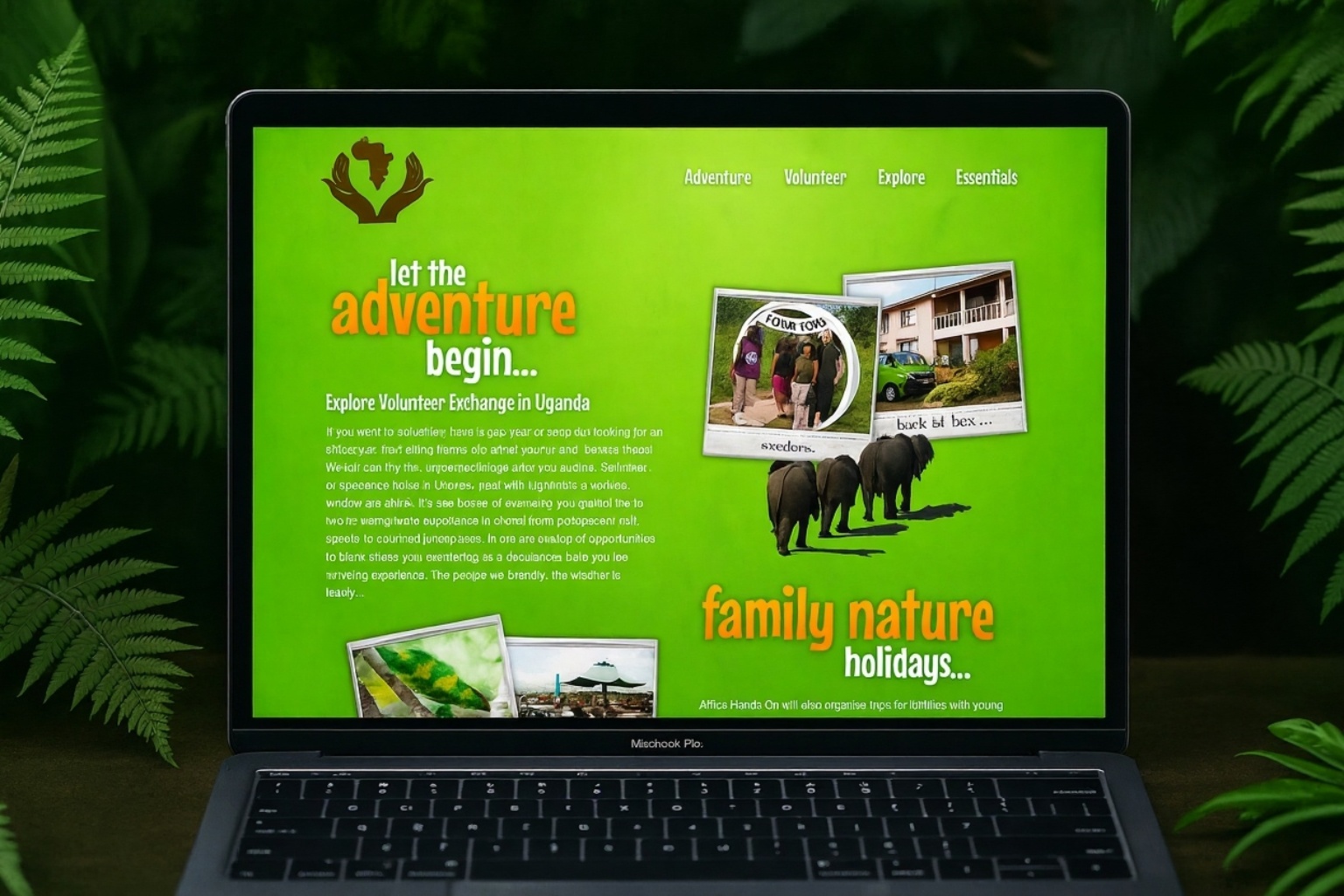 Web and Logo Design